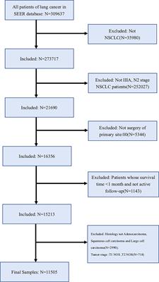 Based on the Development and Verification of a Risk Stratification Nomogram: Predicting the Risk of Lung Cancer-Specific Mortality in Stage IIIA-N2 Unresectable Large Cell Lung Neuroendocrine Cancer Compared With Lung Squamous Cell Cancer and Lung Adenocarcinoma